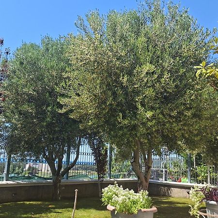 Villa Luiss Panorama Durres Exterior photo